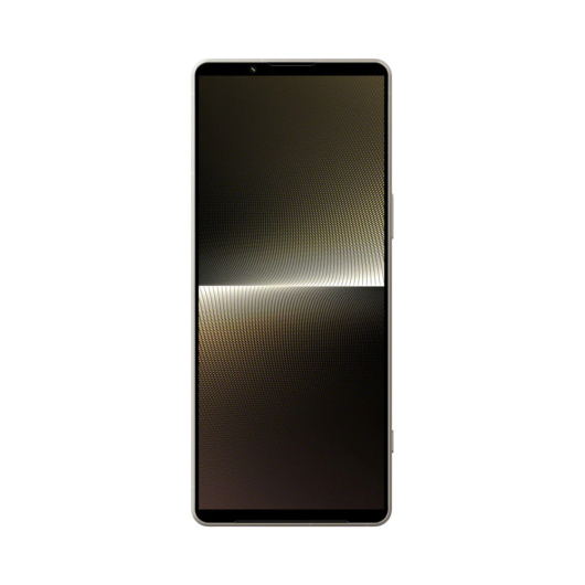 Sony Xperia 1 V 12/512Gb Global Серебристый