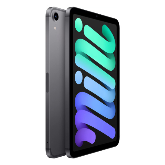 Планшет Apple iPad mini (2021) Wi-Fi 256Gb Серый