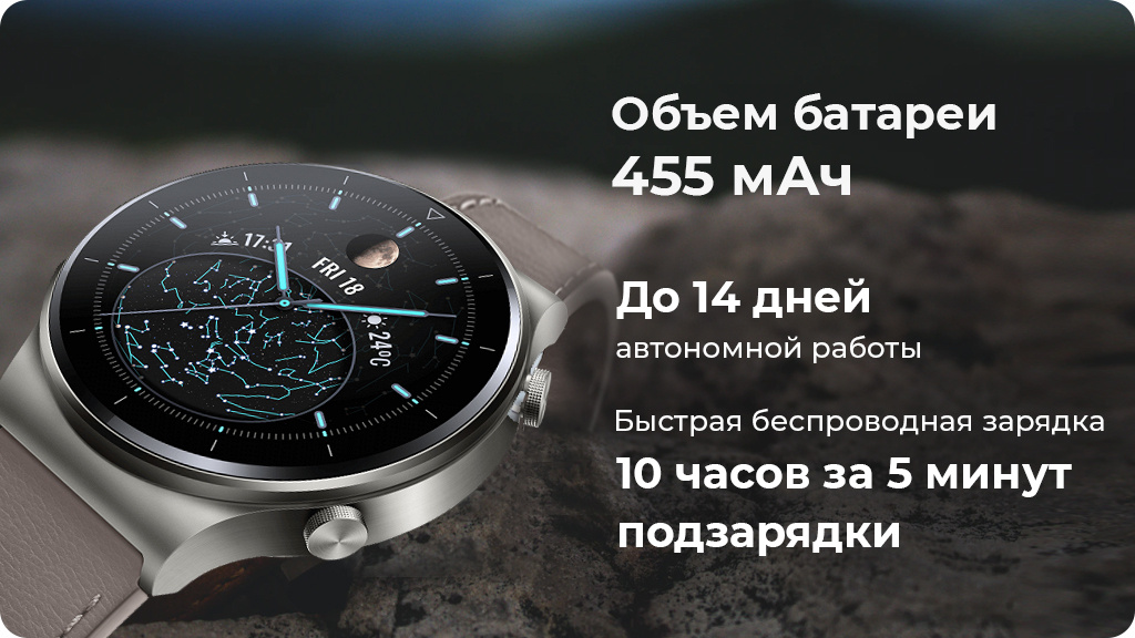 Умные часы Huawei Watch GT 2 Pro Туманно-серый